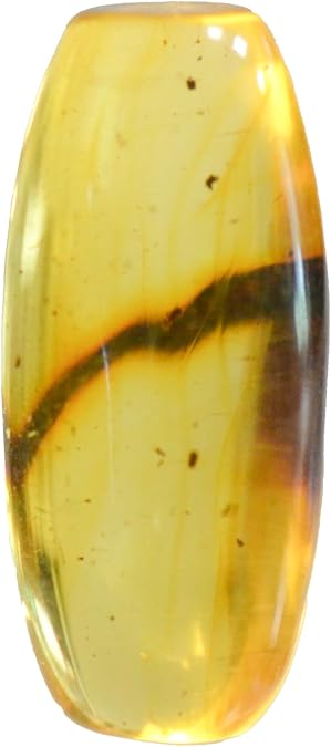Baltic Amber with Moss Insect Natural stone - 2.8g