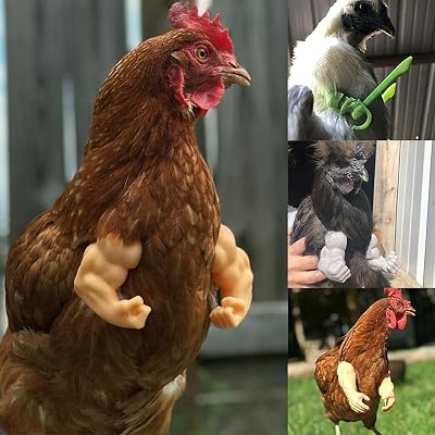 N.H 1Pcs Baby Chicken Fist Chicken Strong Chicken Arms Made in Texas USA Meme Fighting 3D Printed Doll Hands Muscle Arms