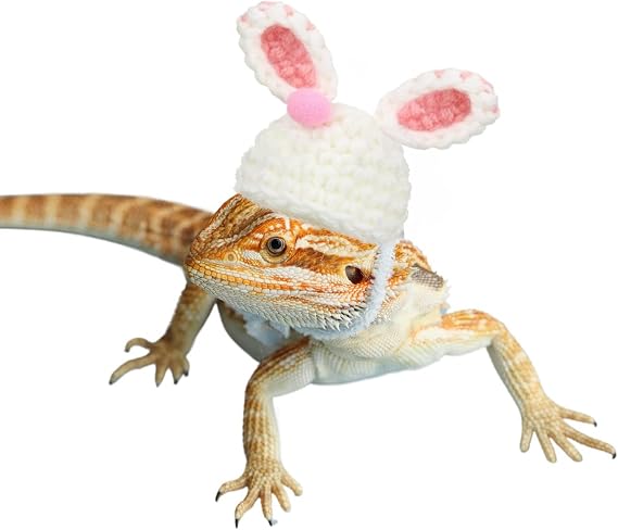 Bearded Dragon Bunny Hat for Easter - Hand Knitted Small Animal Bunny Ears Cap with Adjustable Strap Halloween Costume Outfit Clothes Accessories for Rat Hamster Hedgehog Snake Sugar Glider (White)