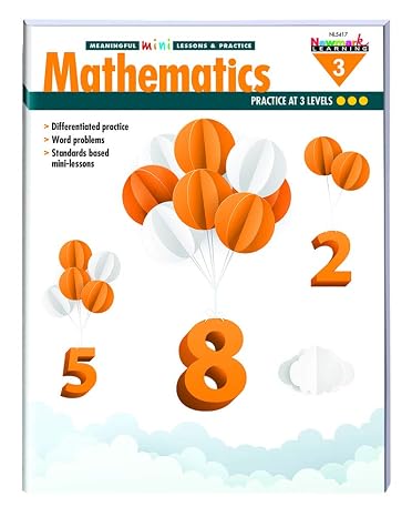 Mathematics Meaningful Mini-Lessons & Practice Grade 3