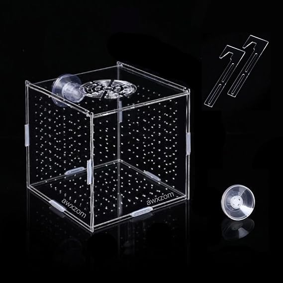 AWXZOM Acrylic Fish breeding Box, Acrylic Fish Isolation Box, Fish Separator for Aquarium, Hatchery Incubator with Suction Cups for Small Baby Fishes Shrimp Clownfish Guppy (3.9 * 3.9 * 3.9inch)