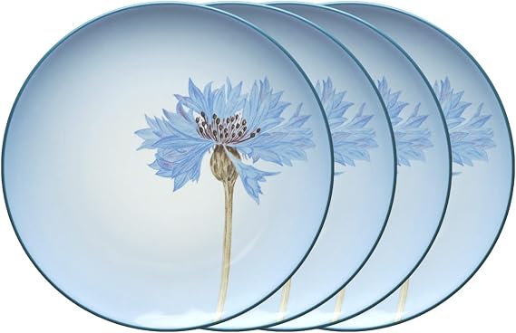 Noritake Colorwave Blue Set of 4 Floral Accent Plates, 8-1/4"