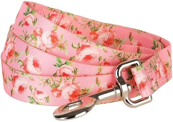Blueberry Pet 9 Patterns Durable Spring Scent Inspired Floral Rose Baby Pink Dog Leash 5 ft x 3/8" for Puppy, X-Small, Leashes for Dogs