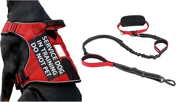 Red Service Dog Harness with Red Hands-Free Leash for Medium Dogs
