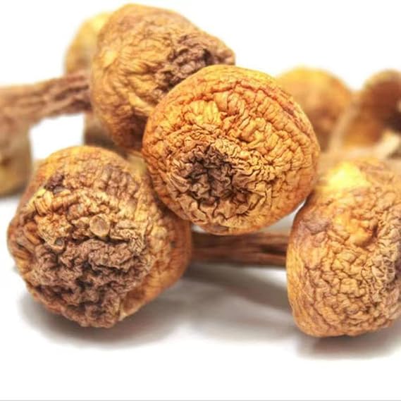 Dried Agaricus Blazei,Agaricus Blazei Murr,himematsutake Mushroom,Agaricus Subrufescens,Agaricus Blazei Murill,ganjisongrong,Almond Mushroom (250grams)