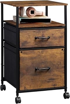 Mobile File Cabinet 2 Drawer Mobile Filing Cabinet with Open Storage Shelf Rolling Printer Stand for Home Office A4 Letter Size Storage