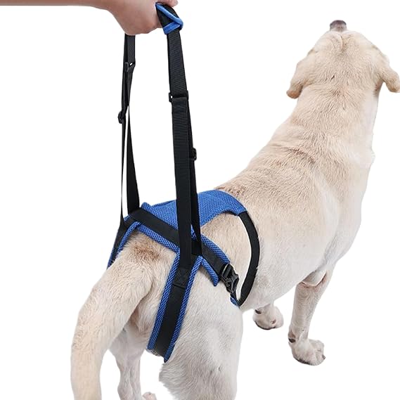 Dog Lifting Harness for Back Legs, Dog Support Harness, Adjustable Dogs Brace for Leg, Adjustable Walking Aid, Back Leg Support for Elderly, Injured, Sick & Disabled Dogs