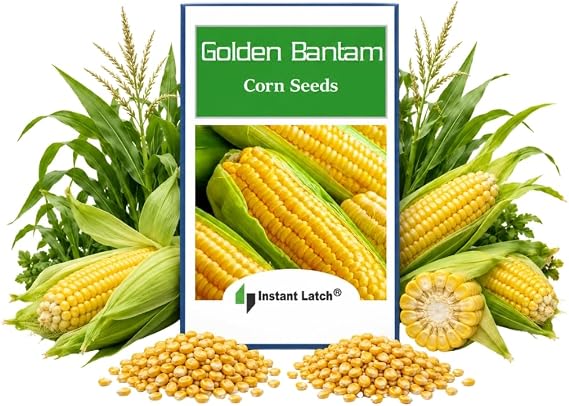 Non-GMO Heirloom Fresh Garden Corn Seeds by Instant Latch | NON GMO, Heirloom Seeds, Instant Latch Fresh Garden Seed