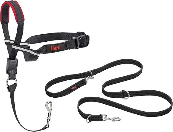 Halti Optifit Headcollar (Size Medium) & Training Leash (Size Large, Black) | Bundle | Stop Your Dog Pulling on the Leash | Adjustable with Padded Nose Band | Suitable for Medium Dogs
