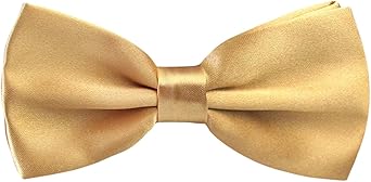 Alizeal Mens Adjustable Pre-tied Solid Bow Tie