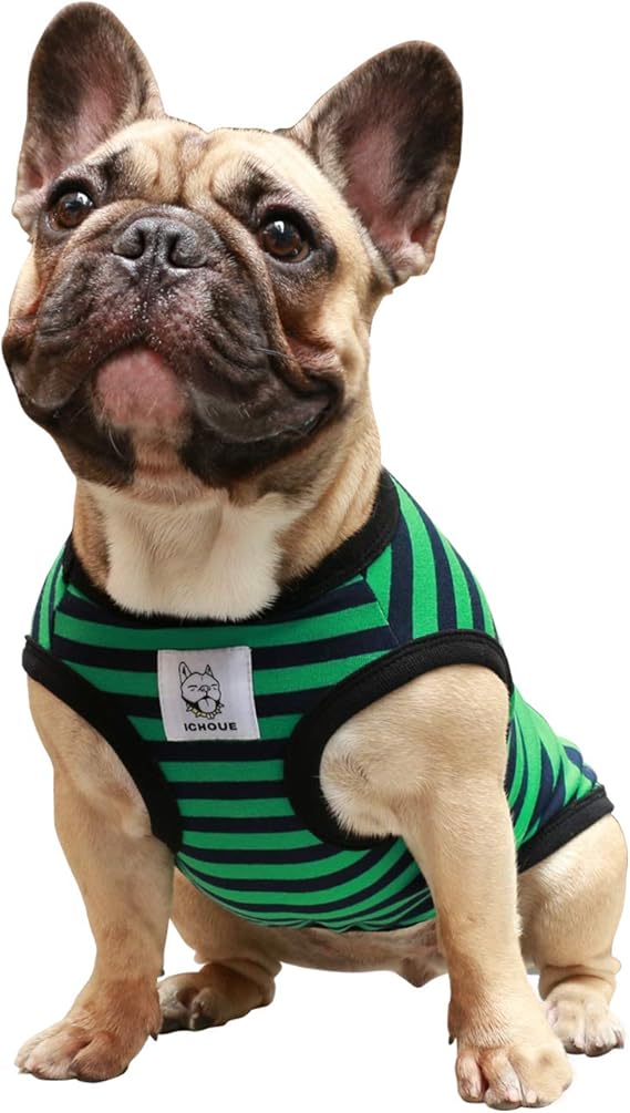 iChoue French Bulldog Striped T Shirts Green Black Stripes - Large Plus