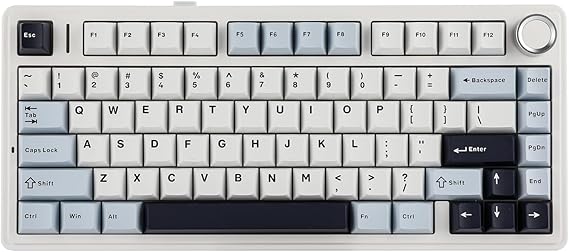 EPOMAKER AULA F75 Wireless Mechanical Gaming Keyboard, 75% Layout with Knob | Creamy Gasekt-Mount with Sound-Dampening, RGB, Hot-Swap, BT/2.4Ghz (Light Blue, Reaper Switch)