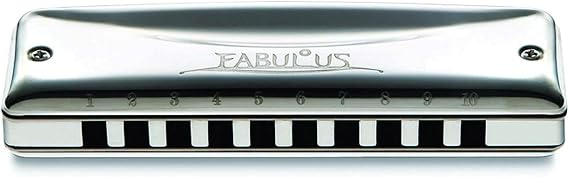 Suzuki F-20J-D Fabulous 10-Hole Diatonic Just Temperament Harmonica, Key of D