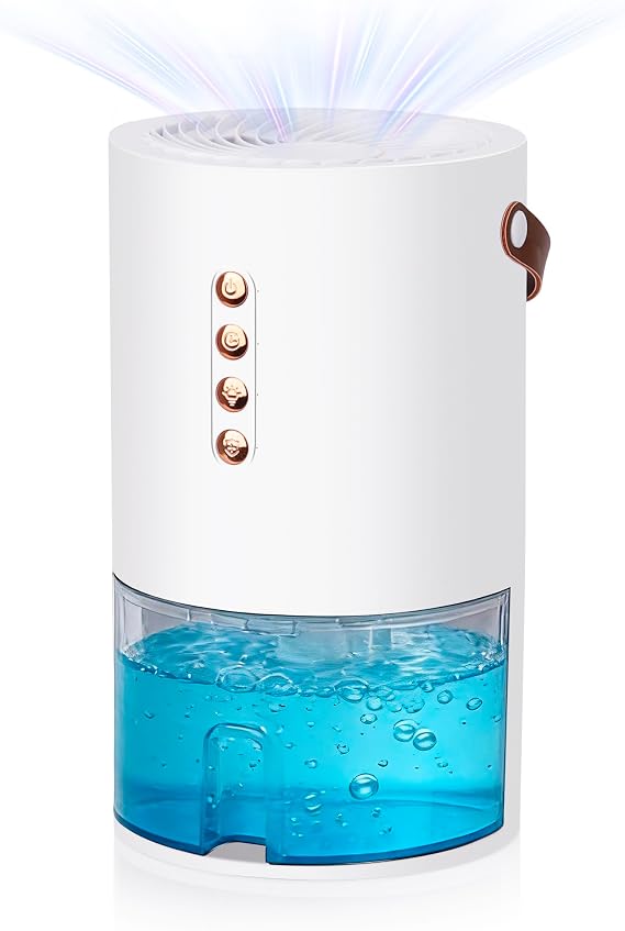 Dehumidifier for Home, 60 Oz