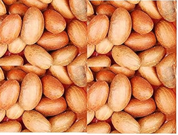 Bitter Kola I Garcinia kola I 300G