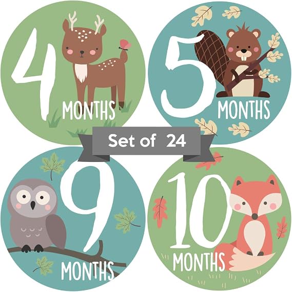 Baby Monthly Milestone Stickers - Set of 24 - Woodland Animals