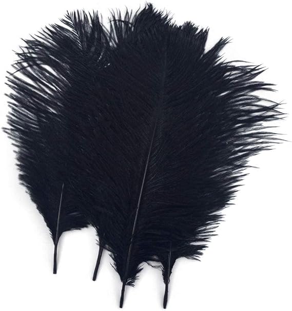 Shekyeon Black 10-12inch 25-30cm Ostrich Feather Home Decoration DIY Craft Pack of 10
