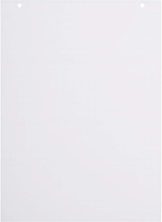 Gridded Flipchart Pad, A1 (58,5 x 81 cm), 60 gr/sqm Paper, 20 Sheets per pad