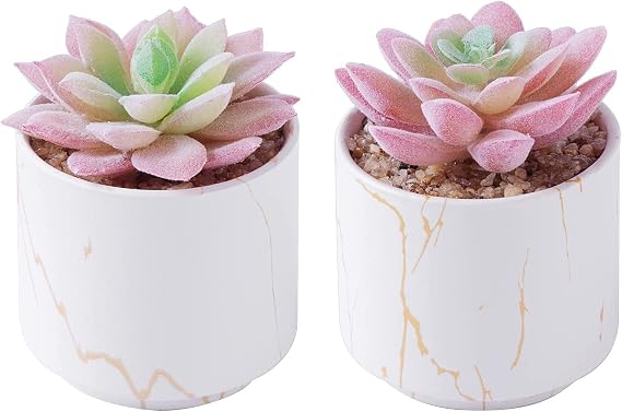zenmag Succulents Plants Artificial, Mini Fake Succulents in White Ceramic Pots for Desk Livingroom Bathroom and Home Decoration Office Decor for