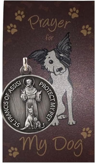 Westmon Works St Francis Medal for Dogs Collar Pendant with Saint Pet Prayer Card