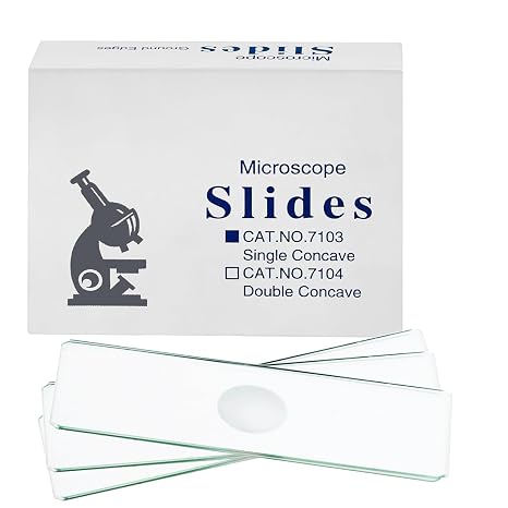 Concave Microscope Slides, 50 Pack Single Depression Glass Slides