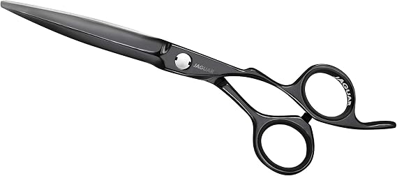 Jaguar Heron Titan 25060-1 Hair Scissors 6.0 Inches