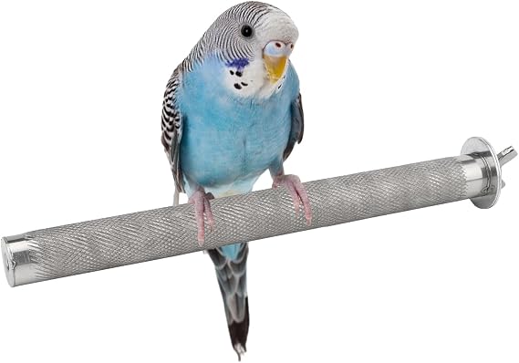 Hypeety Stainless Steel Bird Perch Durable Nail Trimming Stand for Cage, S