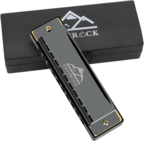 EastRock 10 Hole Blues Harmonica C Key Black with Case for Adults Beginner