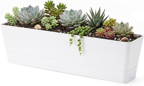 GREANER 16x3.8 Inch Window Boxes Planters, 1PCS Plastic Rectangle Potwith Tray, Lightweight Indoor Succulent Cactus Flowers Vegetable Herb Planters for Balcony, Office, Garden, Outdoor, Windowsill