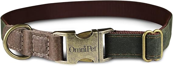 Waxed Canvas Dog Collar Green, 1" Wide, Adjustable 18"26", Heavy-Duty Nylon Core with Brass Buckle