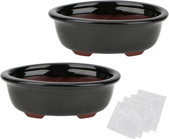 Set of 2 Zisha Ceramic Bonsai Pot, Glazed Shallow Succulent Planter Black
