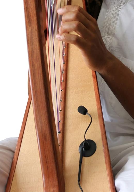 The Feather Concert Harp Microphone with Flexible Micro-Gooseneck