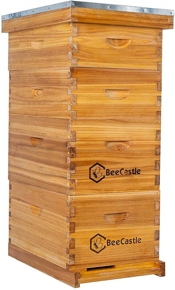 Bee Hive 8 Frame Complete Honeycomb and Supply Starter Kit, Bee Wax Coated Honeycomb Frame and Wax Foundation, 2 Deep Hive Boxes and 2 Medium Honeycomb Super