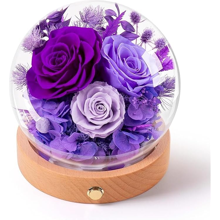 Valentines Day Flowers Gifts for Women,Forever Preserved Roses in Glass Dome,Valentines Day Roses Gifts for Her Wife WomenPurple