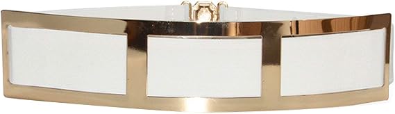 Elastic Belt with Gold Metal Buckle Waistband Belt for Women Dress