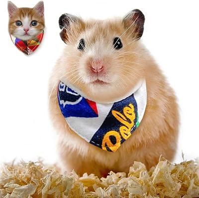 3 Pcs Bearded Dragon Accessories Small Animal Bandanas Rabbit Bowler with Decor Rabbit Bunny Hamster Bandana Triangular Scarf with Ribbon for Lizard Guinea Pig Ferret Sugar Glider Photo Party