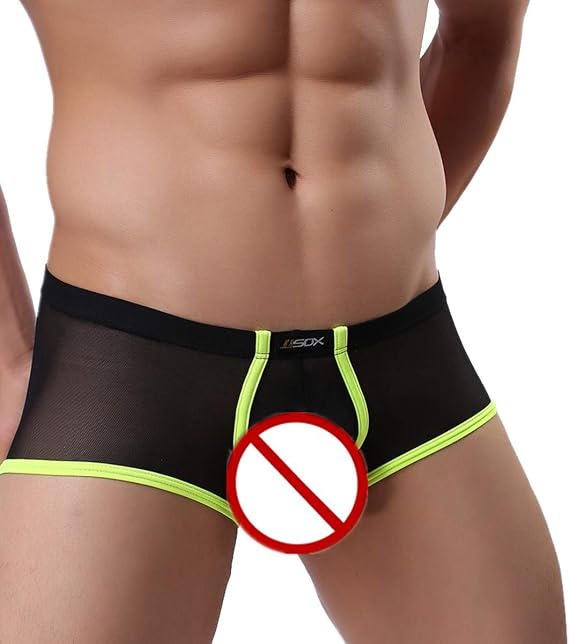 FEESHOW Men's Soft Sheer Mesh Boxer Briefs Shorts Underwear Lingerie Panties