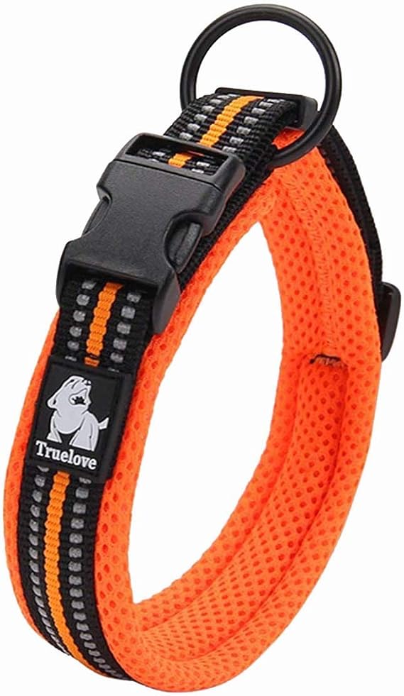 True Love Köpek eğitim tasması TLC5011 reflektörlü köpek tasması (XL, turuncu)