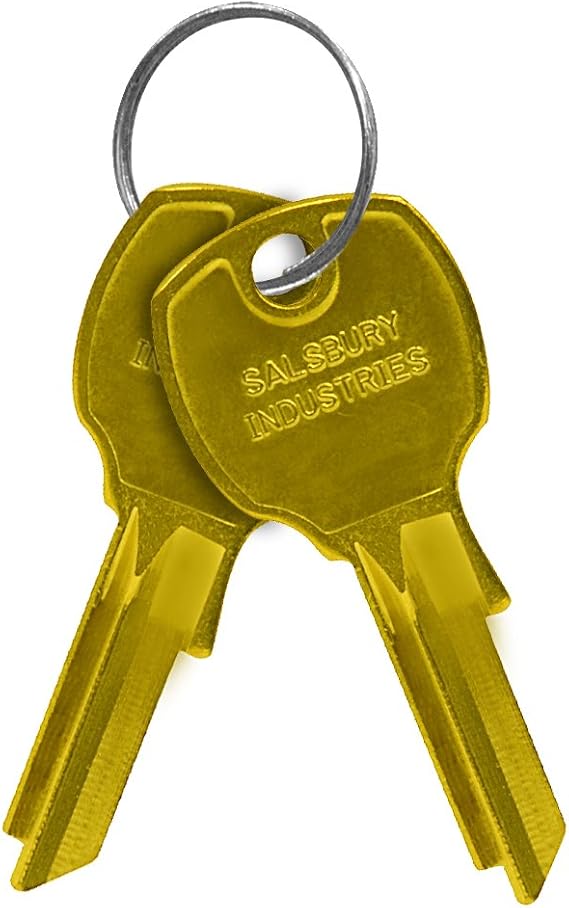 Salsbury Industries 1199 Universal Key Blanks for Universal Locks (Box of 50)