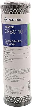 Pentek 255679-43 Carbon Filter