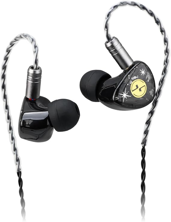TINHIFI C3 MKII HiFi in-Ear Monitors with LCP Dynamic Driver, Detachable 2-Pin Cable, Resin Shell, Ergonomic Fit IEM Earphones for Everyday Listening