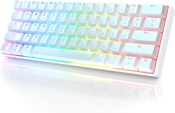 GK61 Mechanical Gaming Keyboard - 61 Keys Multicolor RGB Illumination LED Backlit Wired PC/Mac Gamer Programmable Gateron Optical Silver White