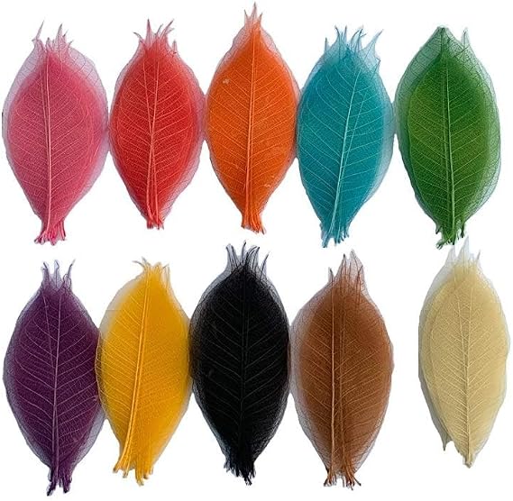 100 Pcs Mixed Colors 4-5 Inches Skeleton Leaves Rubber Tree Natural Scrapbook Craft, Card Wedding, DIY Craft, Bouquets, Seasonal Gift Large Leaves