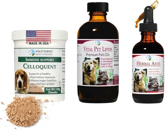 Vitality Science Advanced Immune Restoration Supplements for Dogs | Intense Regeneration Protocol | Helps with Pain Relief (Large)