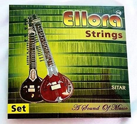 Sitar String Complete Set With Sympatatic Strings Swa001