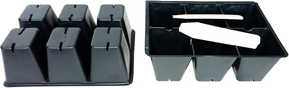 Seed starter trays 100 LARGE CELLS plus 20 bonus cells 20 trays of 6 cells each  20 Labels