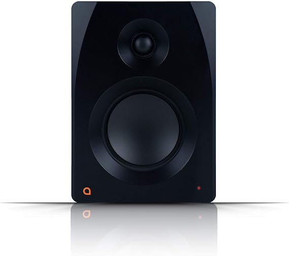 Artesia M-300 Monitor (Single)