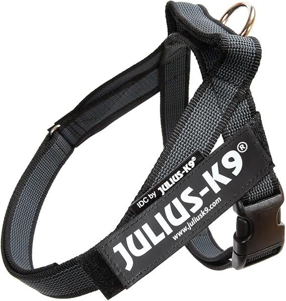 Julius-K9 IDC Color & Gray Belt Harness for Dogs, Mini Size, Black-Gray