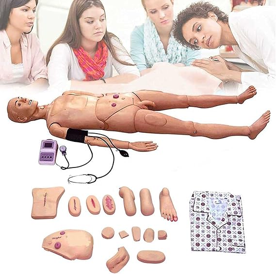 5.57ft Life Size Patient Care Simulator Male and Female Nursing Training Manikin with Arm Blood Pressure Measurement, Medical Training Teaching Manikin