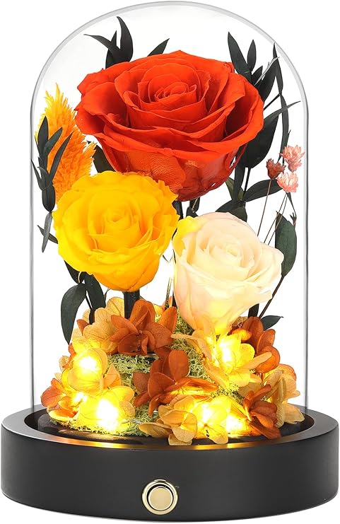 Preserved Flowers Arrangement in Glass Dome, Flowers for Delivery, Valentines Day Gifts for Her, for Mom, Anniversary Birthday Gifts for Women (Orange)